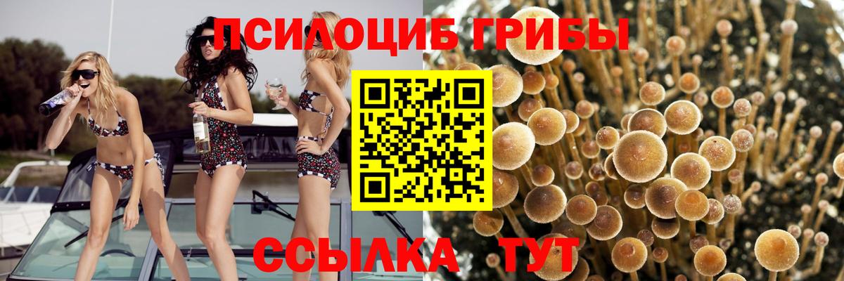 Псилоцибиновые грибы прущие грибы Радужный