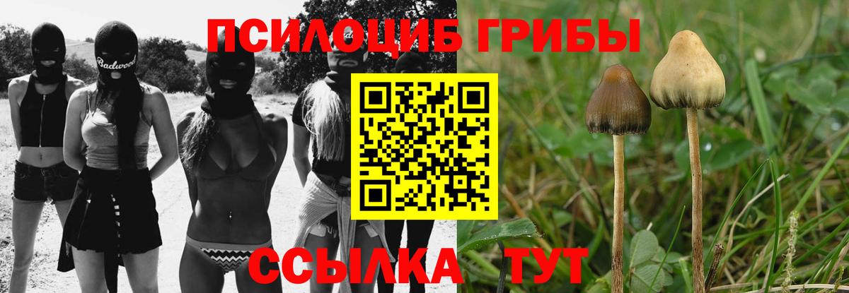 Радужный  Псилоцибиновые грибы Psilocybe  Галлюциногенные грибы ЛСД  Вход с VPN 